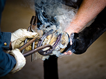 Heta arbeten metod hästskoning